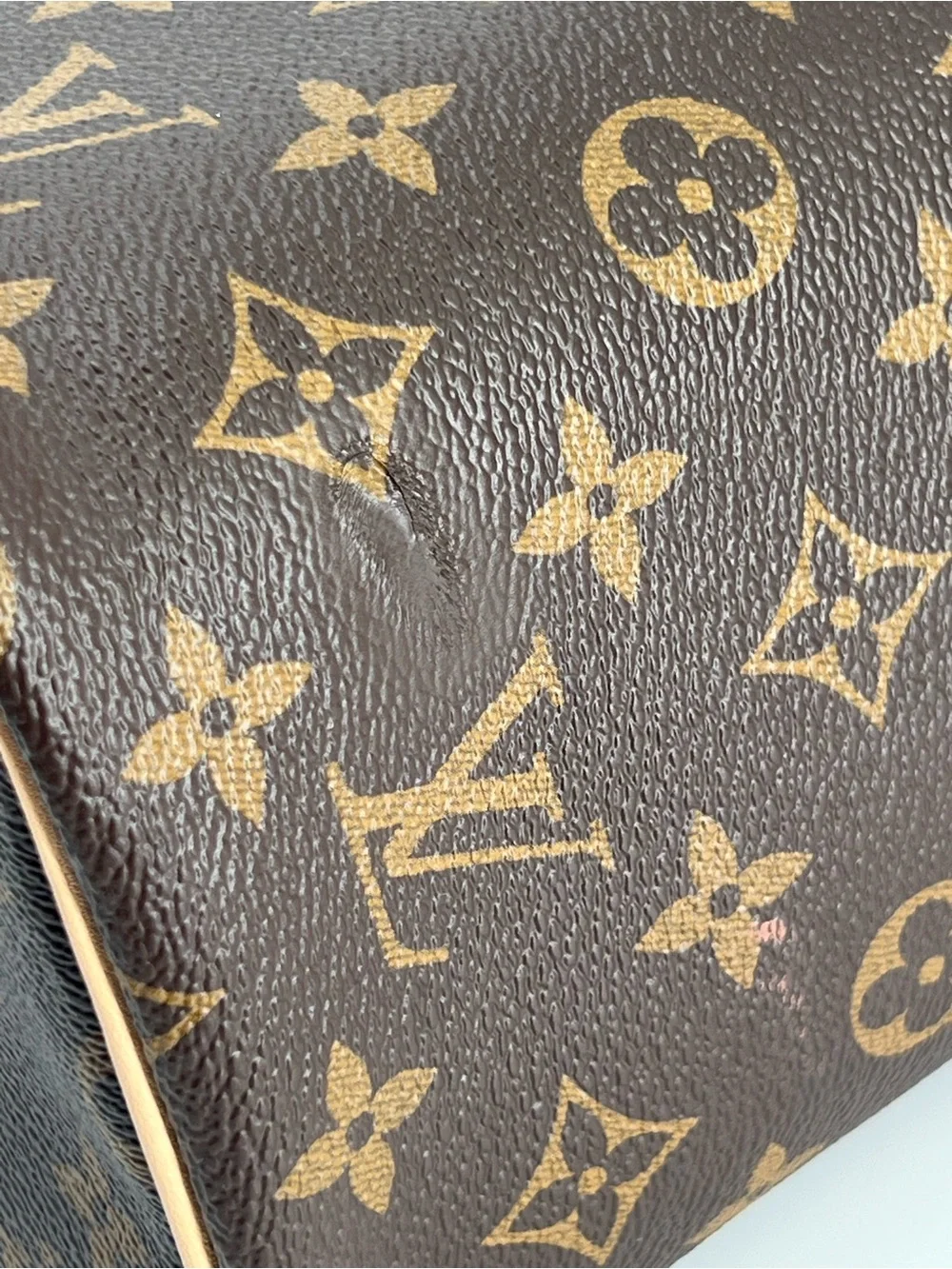 Louis Vuitton Monogram Nice Vanity Bag